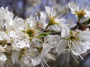 20190411_151418