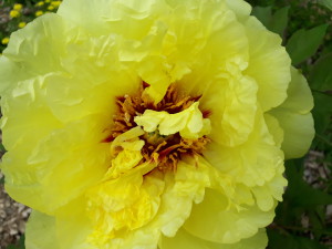 20190526_133255
